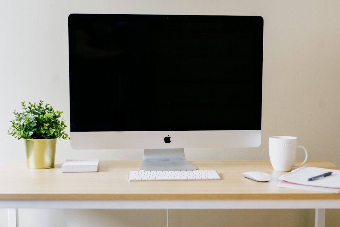 A desktop computer on a light wooden desk with a plant and coffee mug.