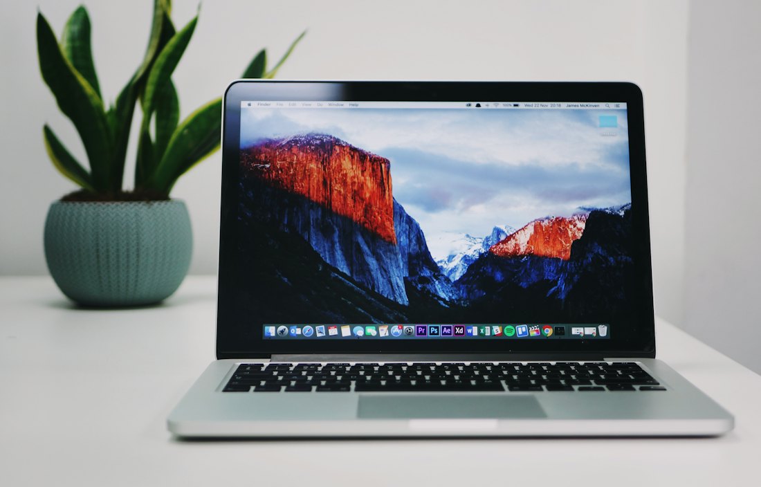 A laptop beside a plant on a minimalist desk.